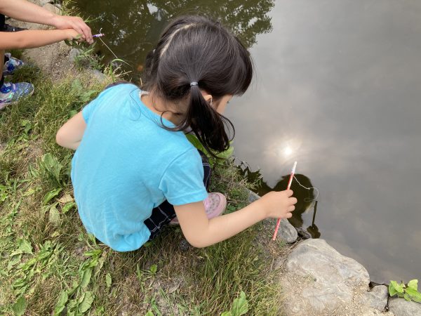 鶴見緑地公園でザリガニ釣り 簡単に釣れる方法を写真で解説します パパホイクラボ